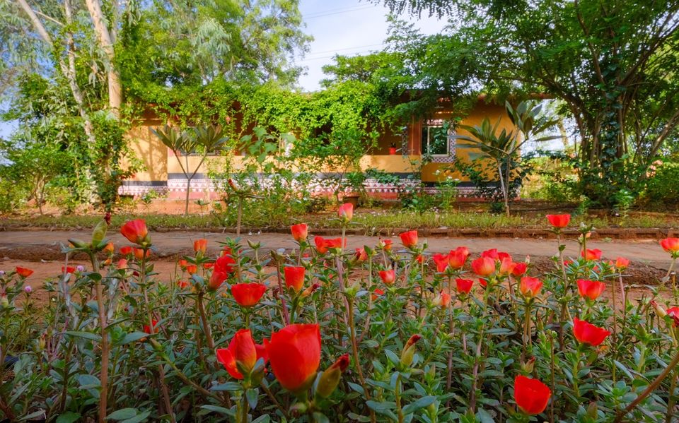 Photo of A Stunning Eco-Friendly Homestay That Is Located Just Beside Chandaka Dampara Wildlife Sanctuary! by Sinchita Sinha