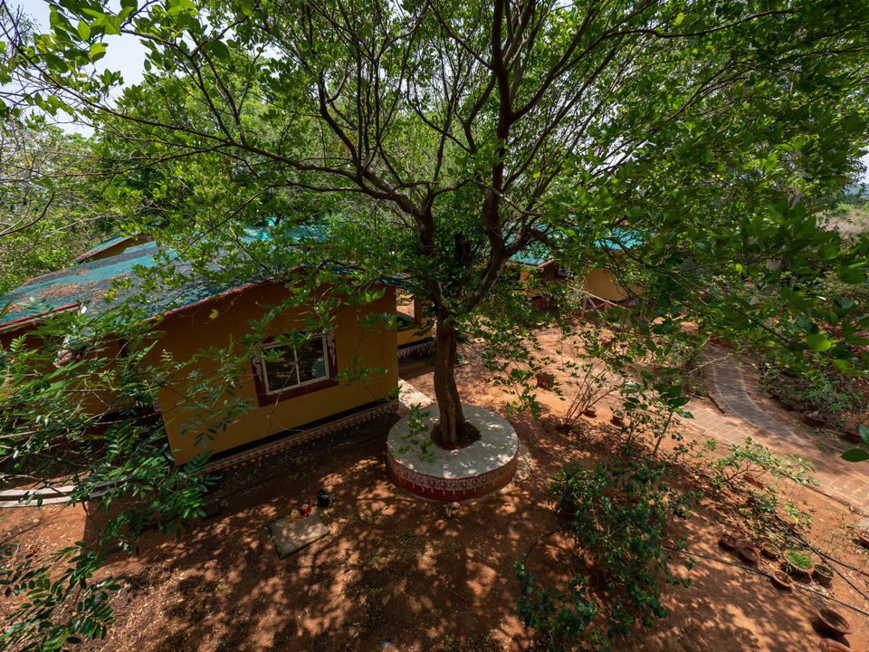 Photo of A Stunning Eco-Friendly Homestay That Is Located Just Beside Chandaka Dampara Wildlife Sanctuary! by Sinchita Sinha