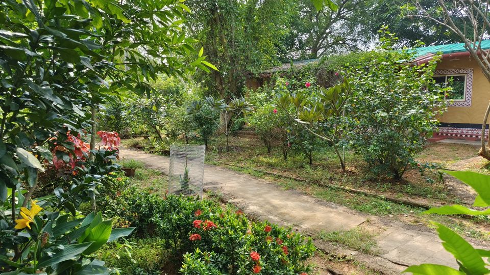 Photo of A Stunning Eco-Friendly Homestay That Is Located Just Beside Chandaka Dampara Wildlife Sanctuary! by Sinchita Sinha
