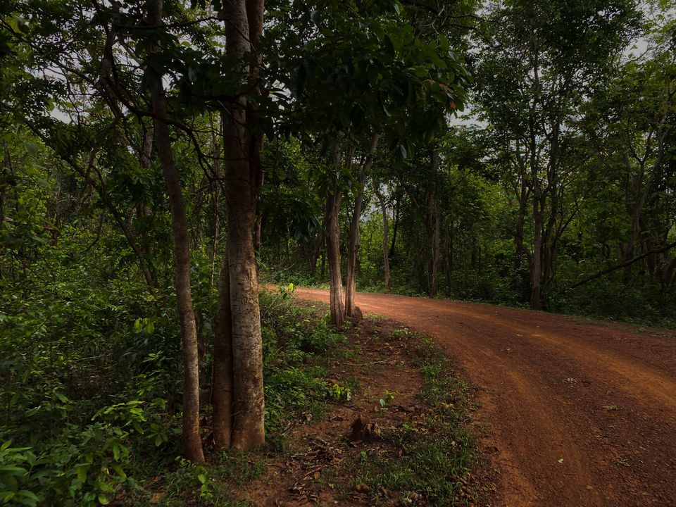 Photo of A Stunning Eco-Friendly Homestay That Is Located Just Beside Chandaka Dampara Wildlife Sanctuary! by Sinchita Sinha