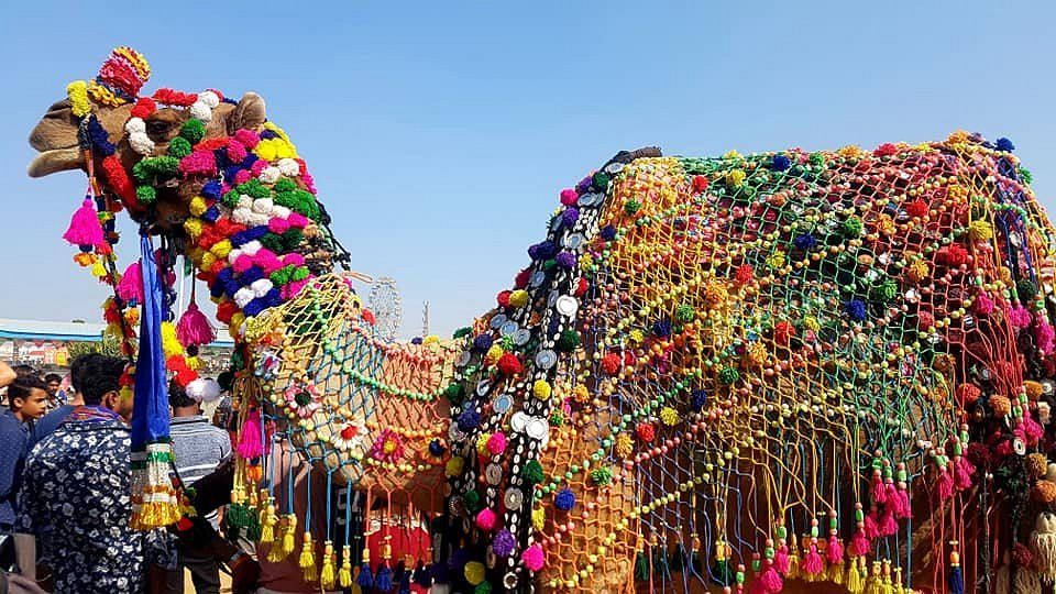Photo of Bookmark These 41 Festivals In India From January 2023 to June 2023 That You Shouldn't Miss! by Sinchita Sinha