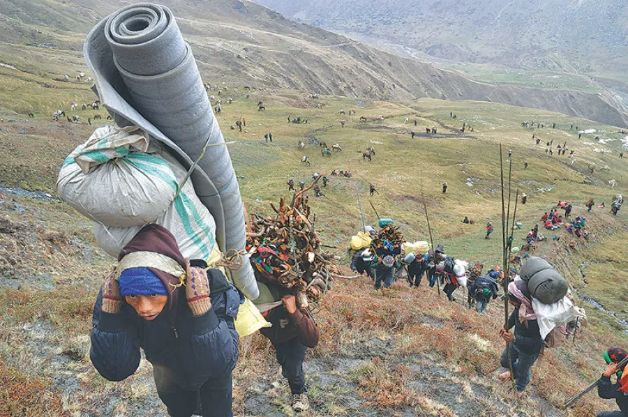 Photo of Ever Heard Of “Himalayan Viagra”? 2 Missing And 3 Dead Trying To Find This Herb In Nepal! by Sinchita Sinha