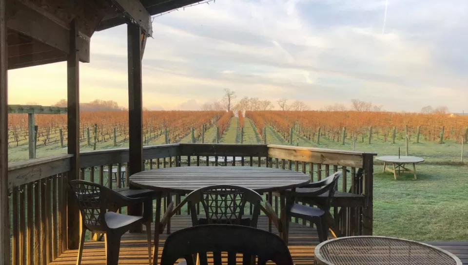 Photo of Va La Vineyards, Avondale by Sinchita Sinha