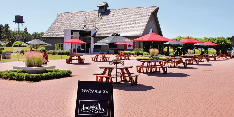 Photo of Inniskillin Wines, Niagara-on-the-Lake by Sinchita Sinha