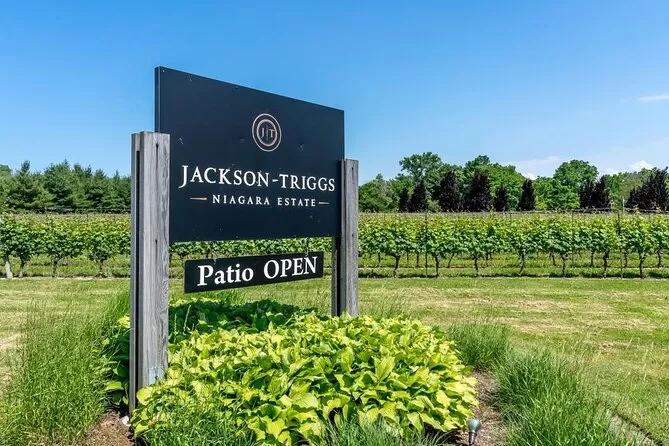 Photo of Jackson-Triggs Niagara Estate, Niagara-on-the-Lake by Sinchita Sinha