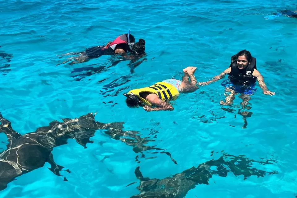 Photo of For Just 88K INR, Fly Off to Attend The Annual Scuba Retreat in Maldives and Swim With Sharks! by Sinchita Sinha