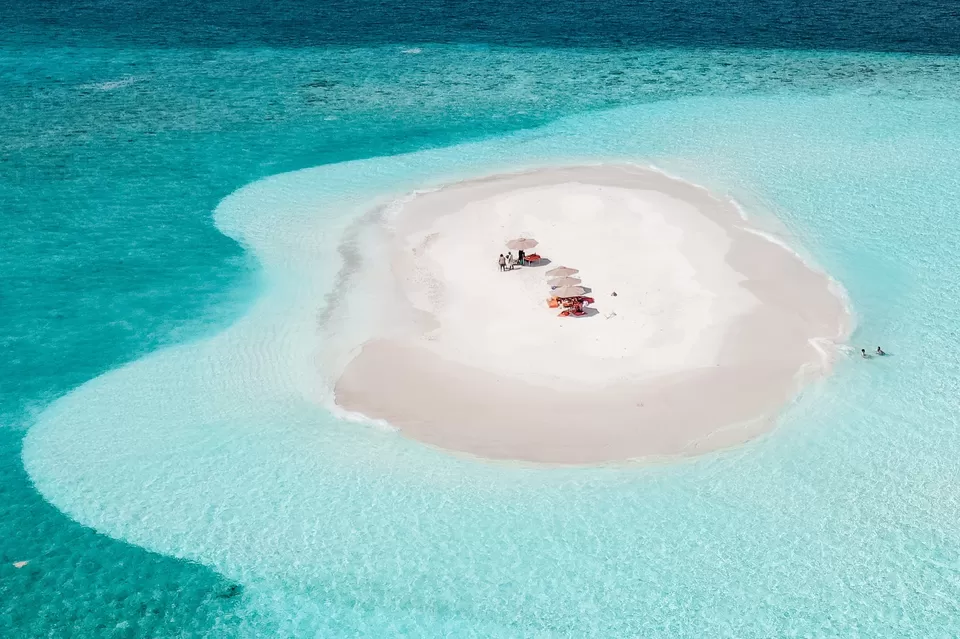 Photo of For Just 88K INR, Fly Off to Attend The Annual Scuba Retreat in Maldives and Swim With Sharks! by Sinchita Sinha
