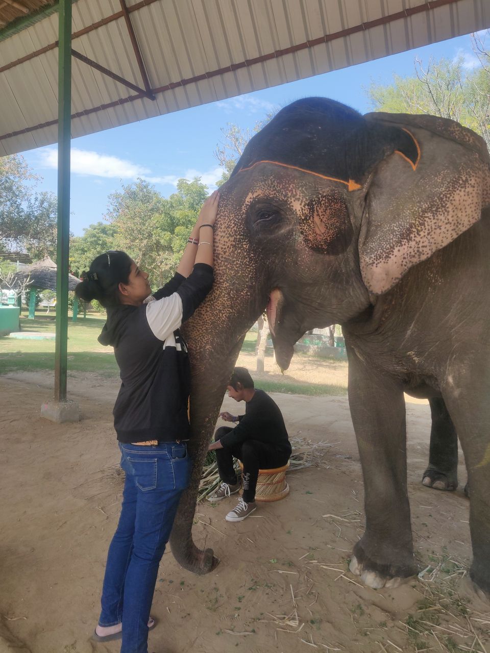 Photo of Dayout with elephants in Jaipur, Rajasthan! by Nisha