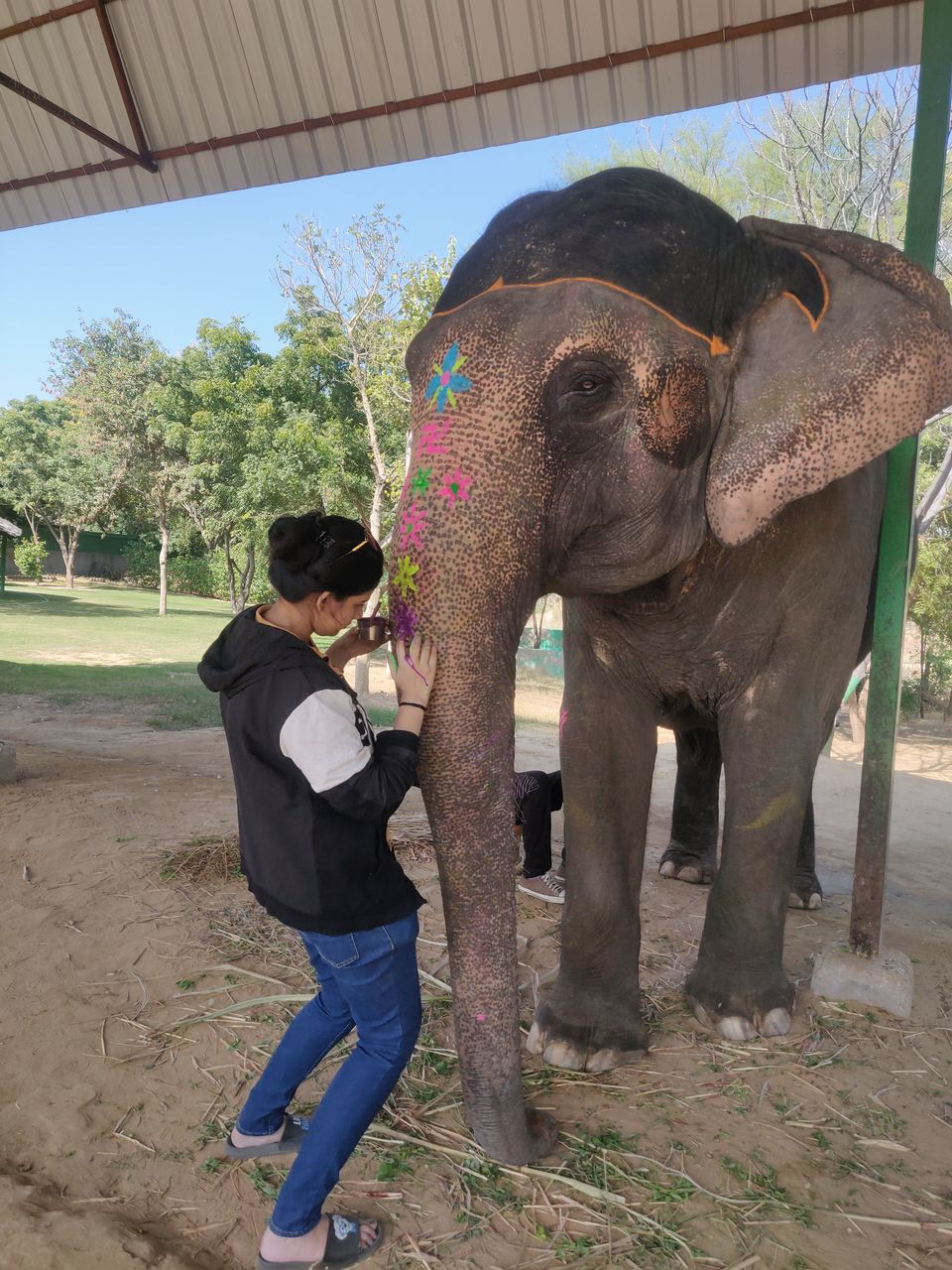 Photo of Dayout with elephants in Jaipur, Rajasthan! by Nisha