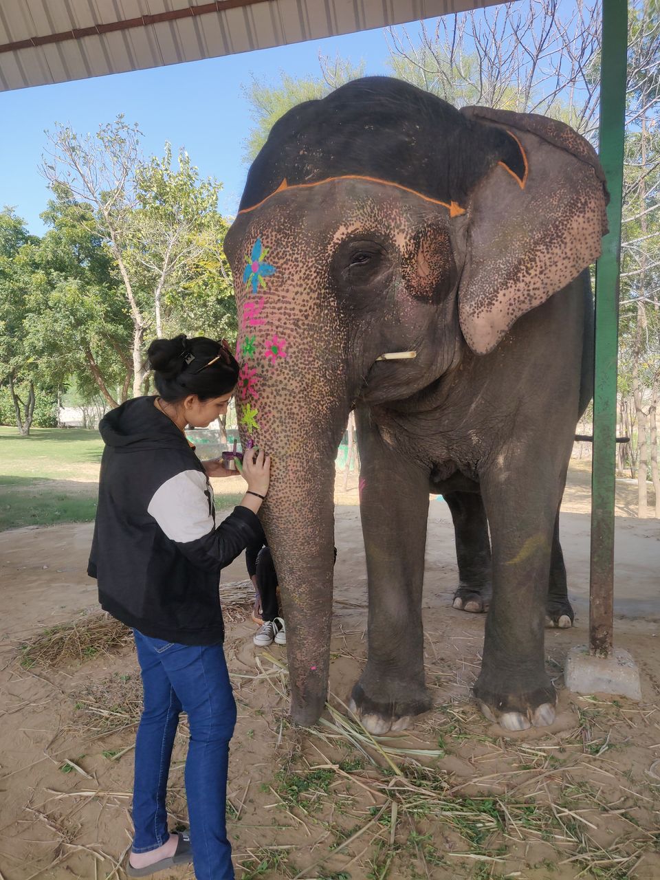 Photo of Dayout with elephants in Jaipur, Rajasthan! by Nisha