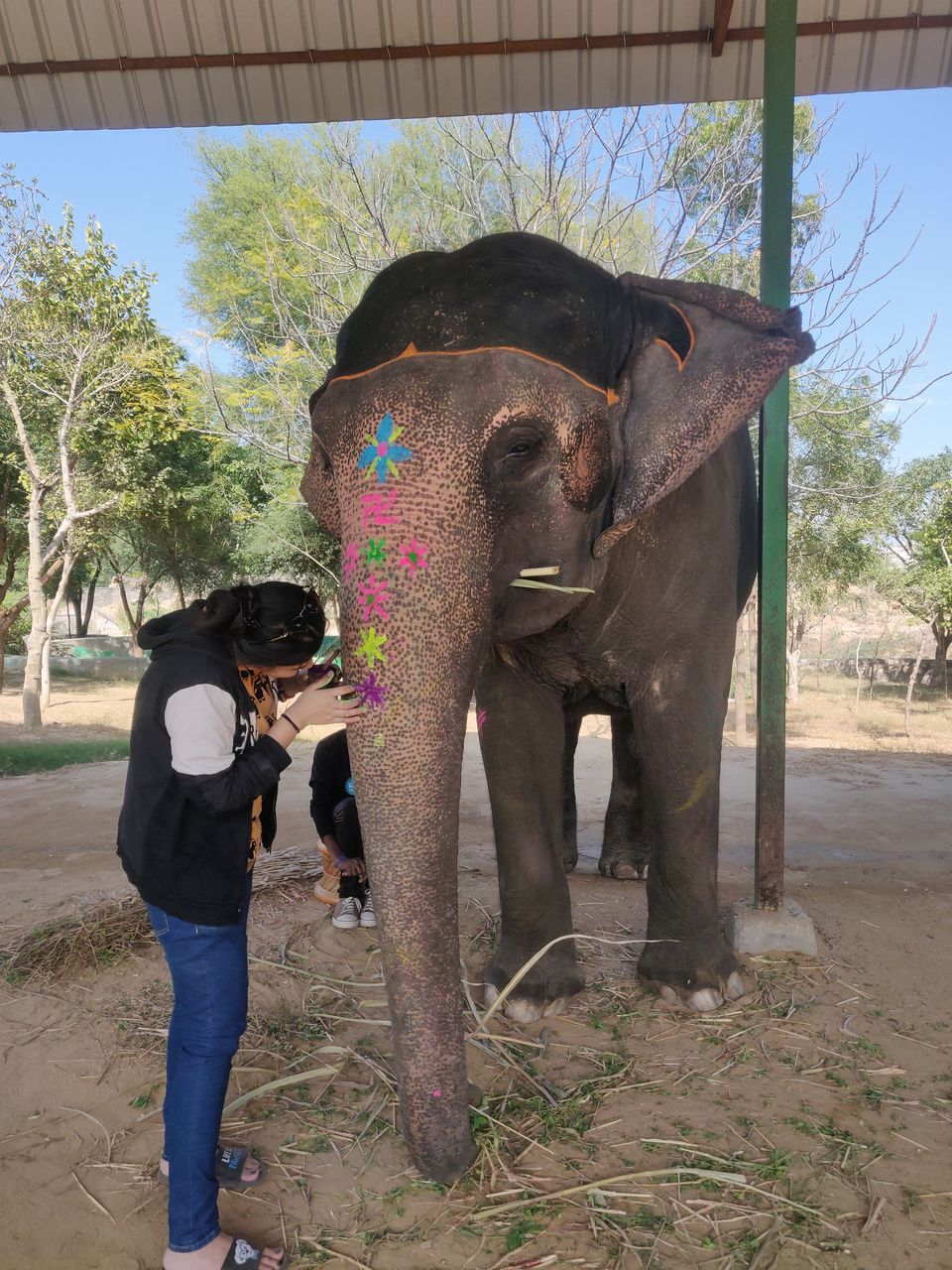 Photo of Dayout with elephants in Jaipur, Rajasthan! by Nisha