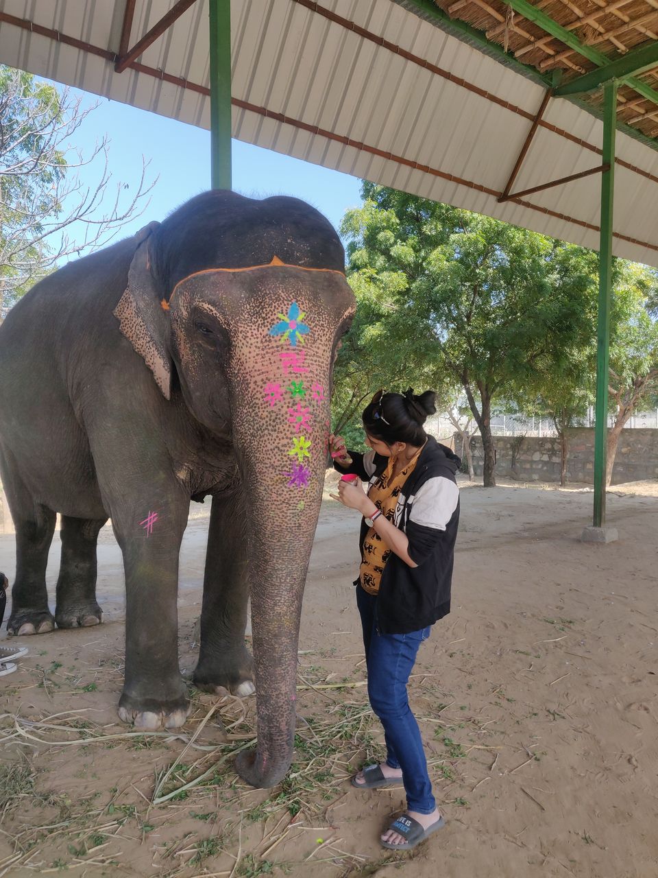 Photo of Dayout with elephants in Jaipur, Rajasthan! by Nisha