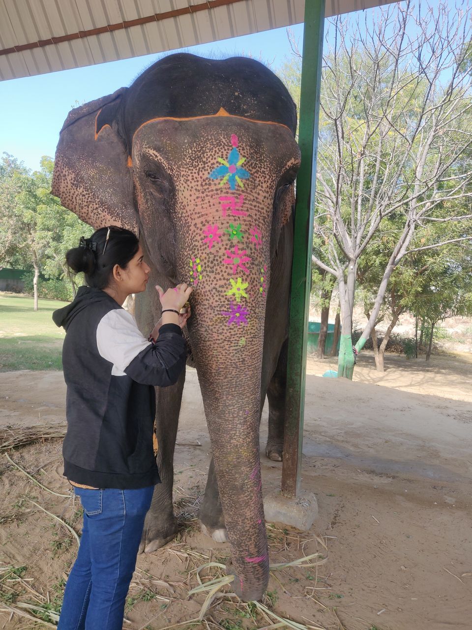 Photo of Dayout with elephants in Jaipur, Rajasthan! by Nisha