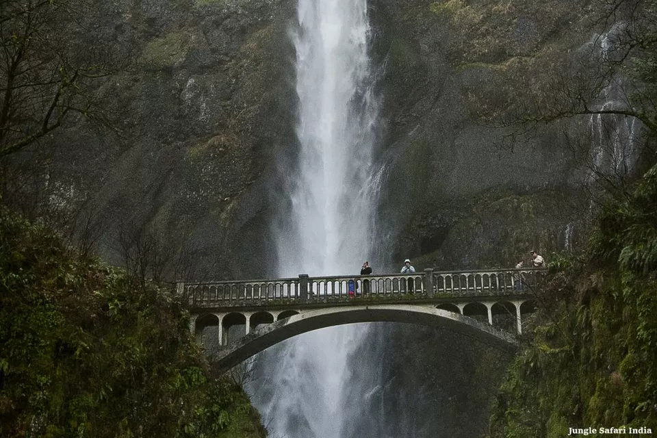 Photo of Discover the Soul of Uttarakhand with Travel India Solution by Devbhumi Tourism