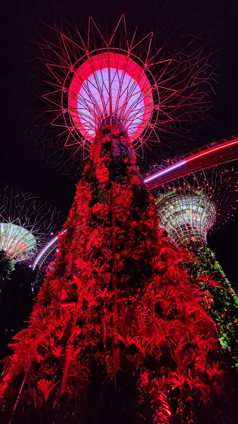 Photo of Swept off the feet by Singapore by Antara Banerjee