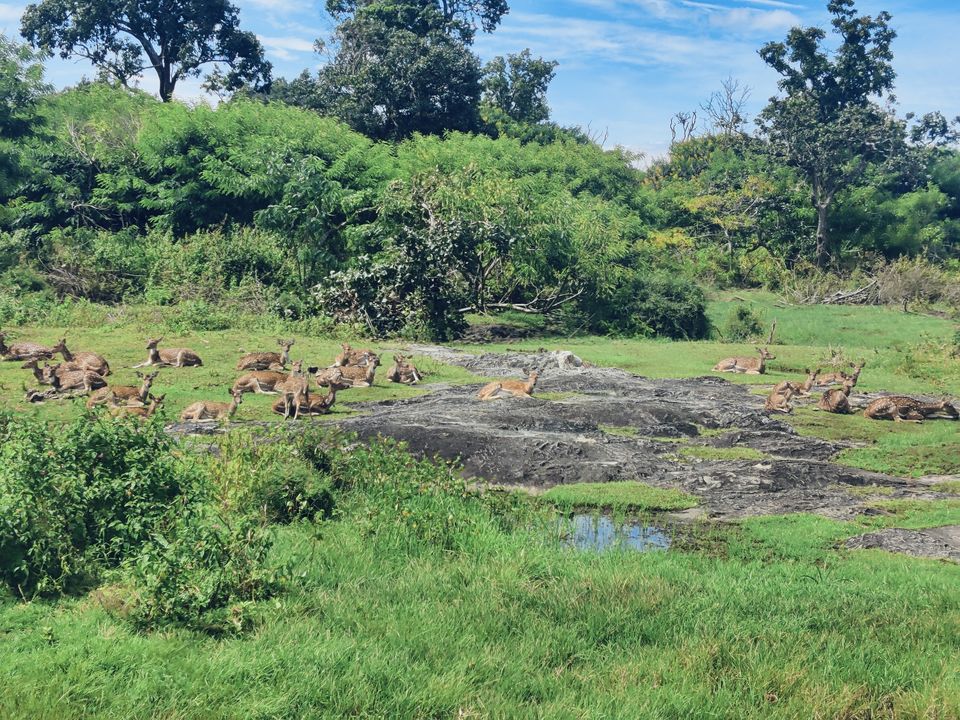 Photo of Just 4 hours from Bangalore, this place is perfect for an offbeat getaway by ZoomingPlaces