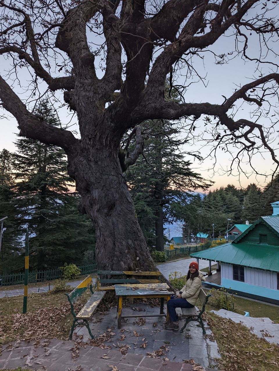 Photo of 7 days in Himachal by Priyanka Dwivedi