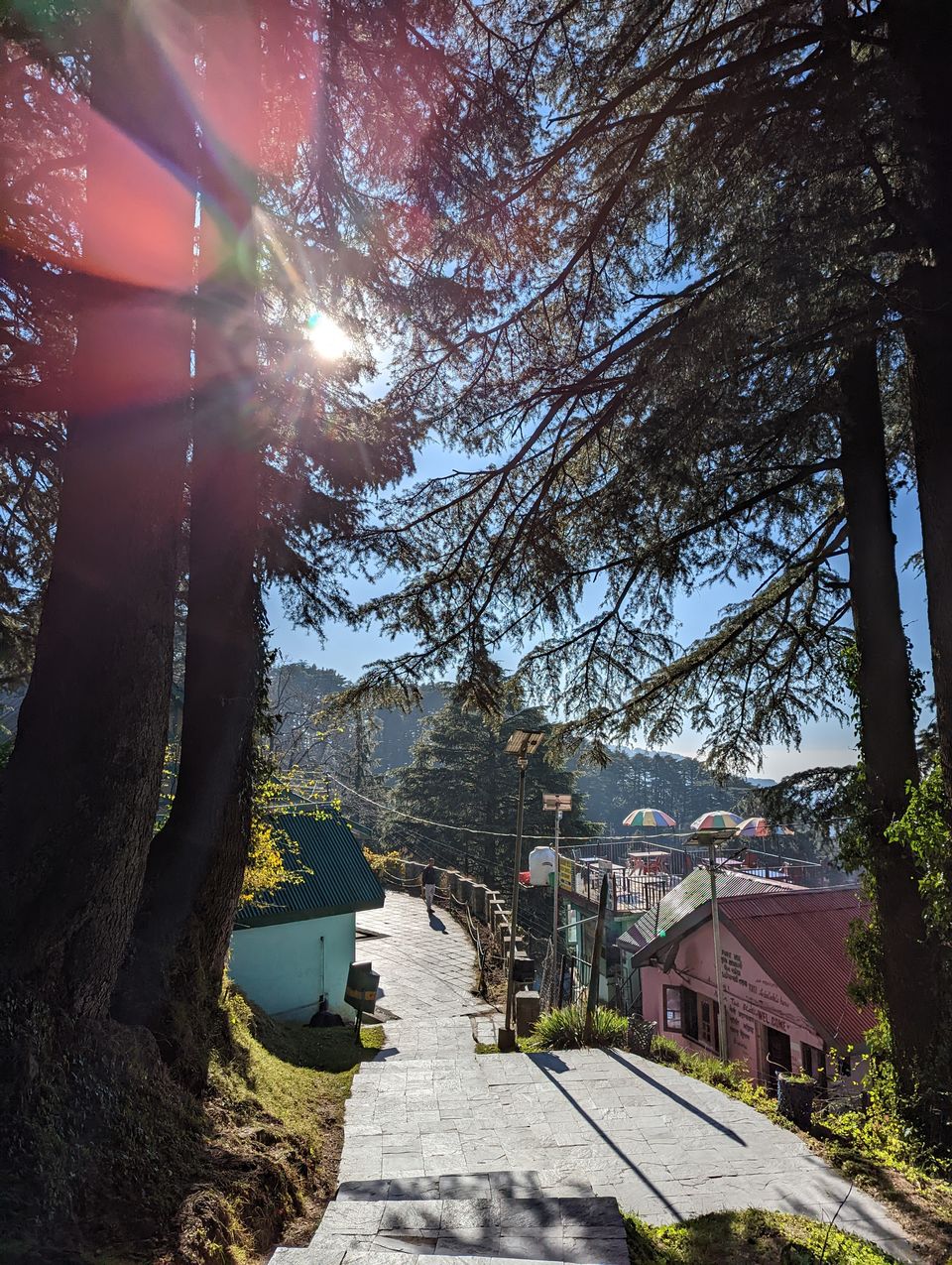 Photo of 7 days in Himachal by Priyanka Dwivedi