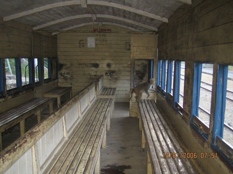 Photo of વિશ્વની એકમાત્ર એવી ટ્રેન જેમાં તમે મફતમાં મુસાફરી કરી શકો છો by Romance_with_India