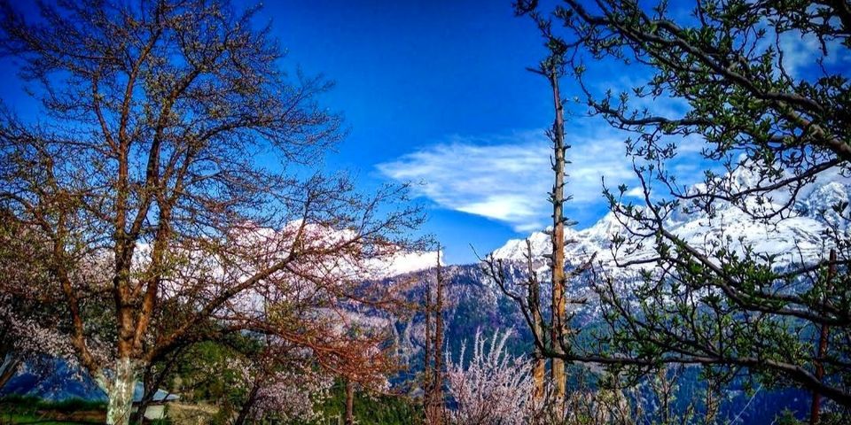 Photo of પાંગી વેલી: હિમાચલ પ્રદેશના સુંદર પર્યટન સ્થળોમાંની એક by Romance_with_India