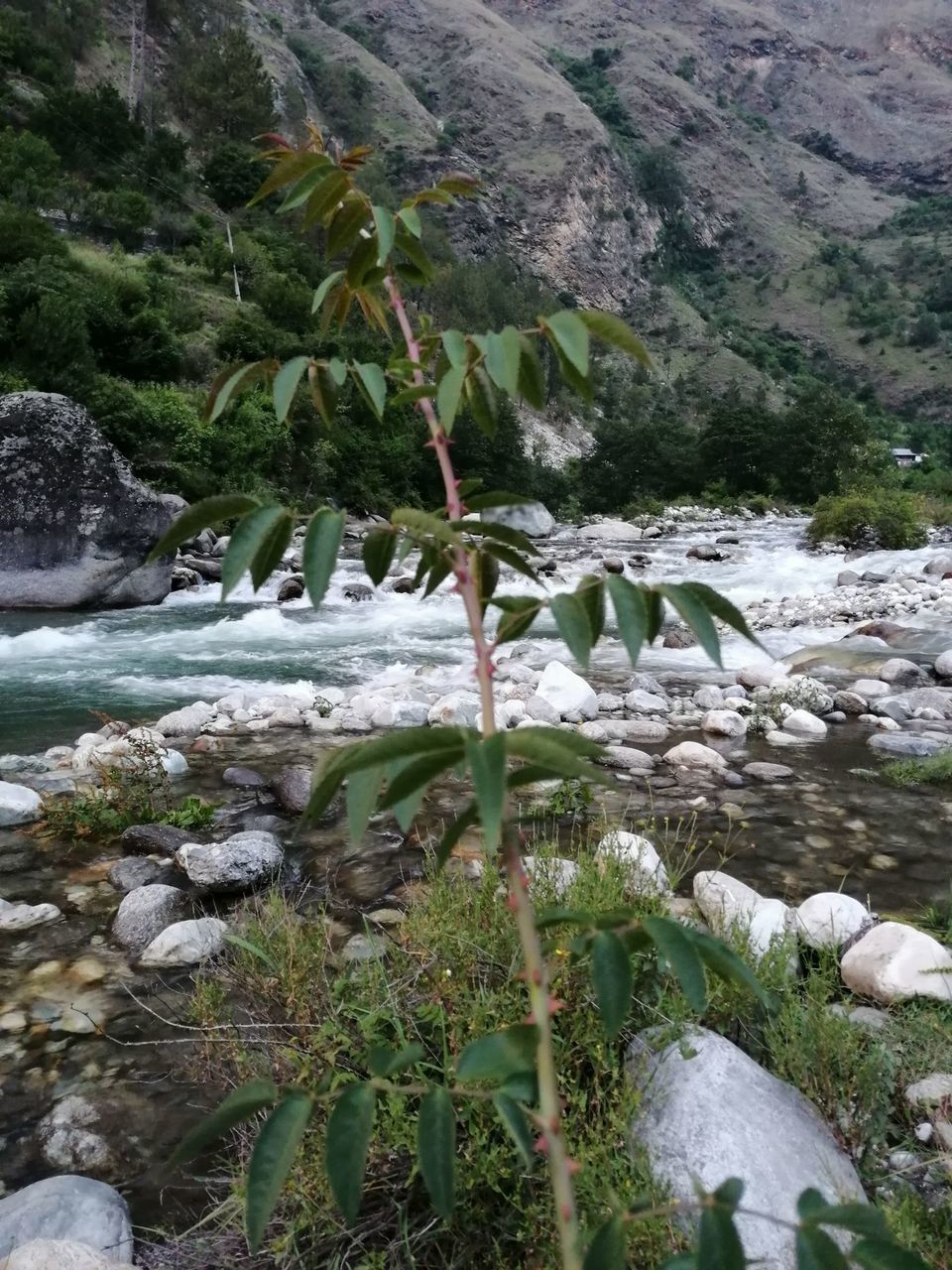 Photo of Jibhi, Kullu by Romance_with_India