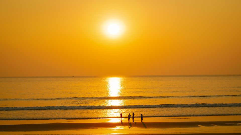 Photo of This summer visit the Velas Turtle Festival by Rushikesh