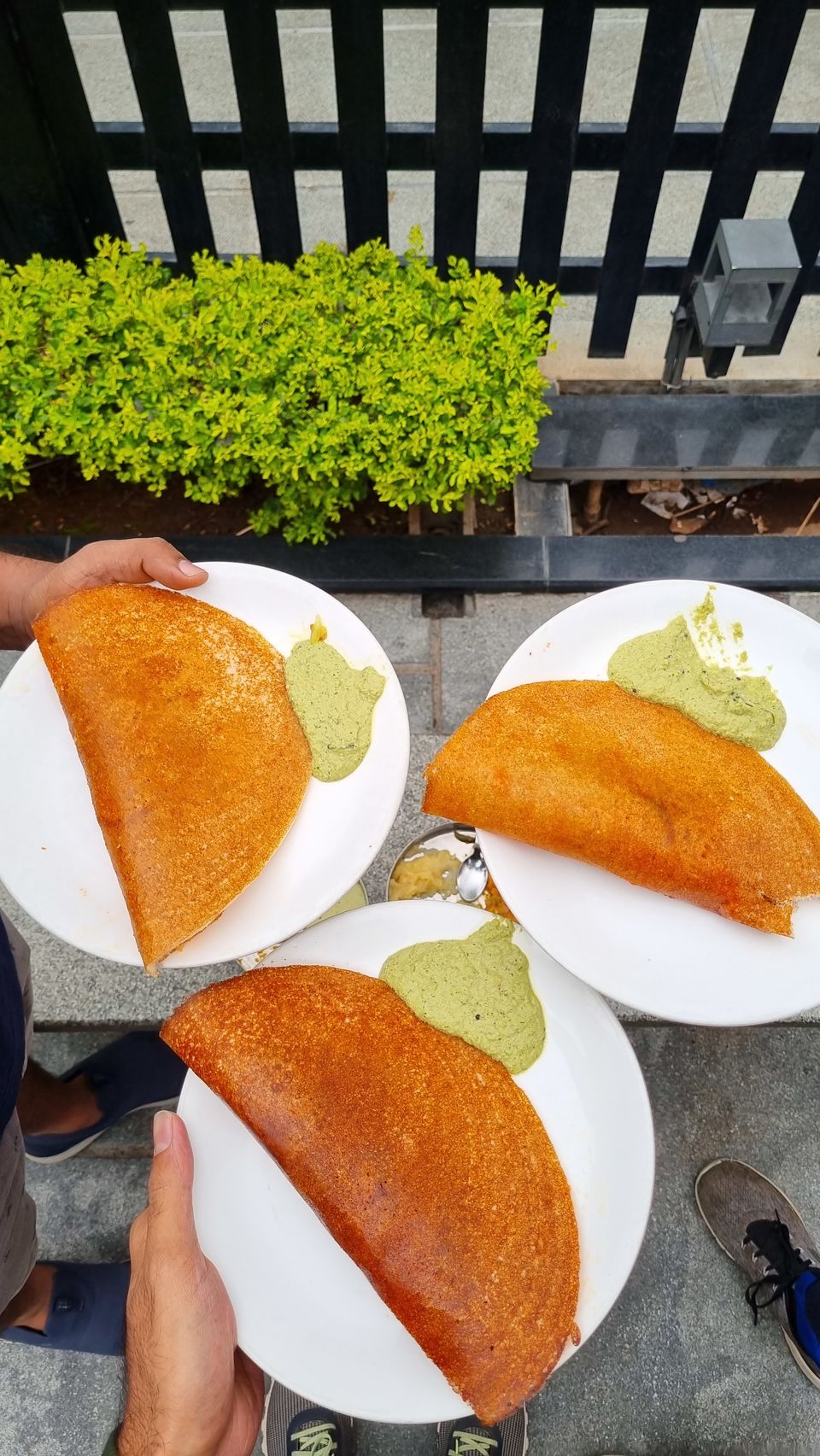 Photo of A weekend with Fluffy Idlis and Ghee Soaked Dosas by Rushikesh