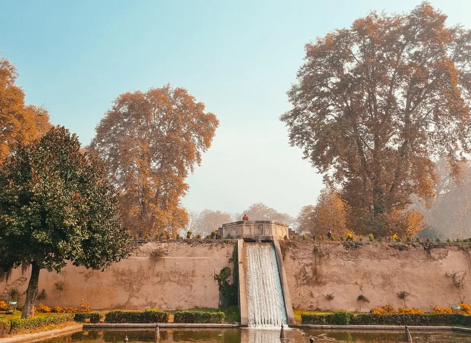 Photo of Kashmir's Nishant Bagh in Autumn by Rushikesh