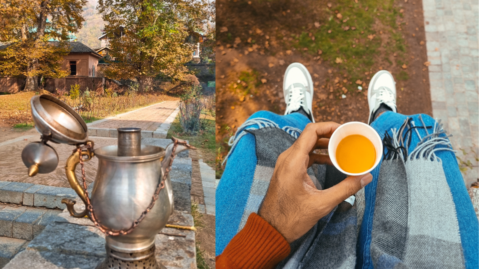 Photo of Kashmir's Nishant Bagh in Autumn by Rushikesh