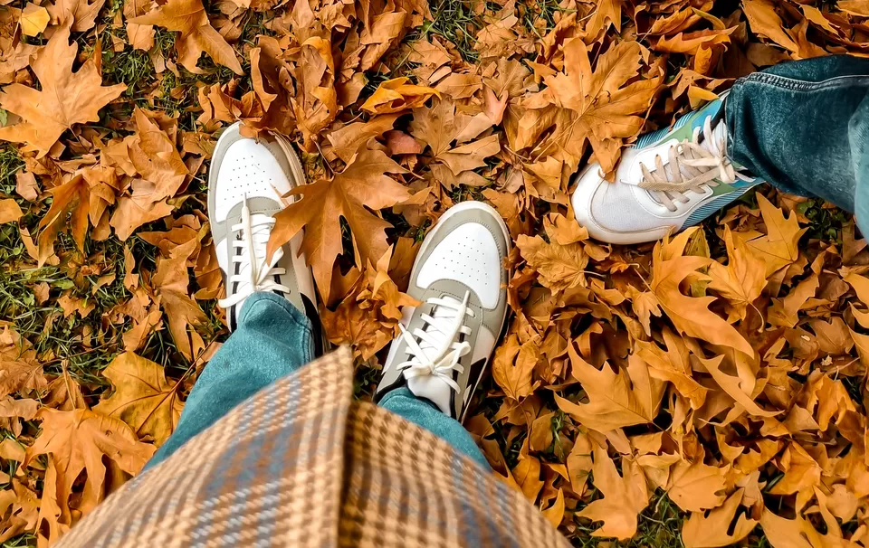 Photo of Kashmir's Nishant Bagh in Autumn by Rushikesh