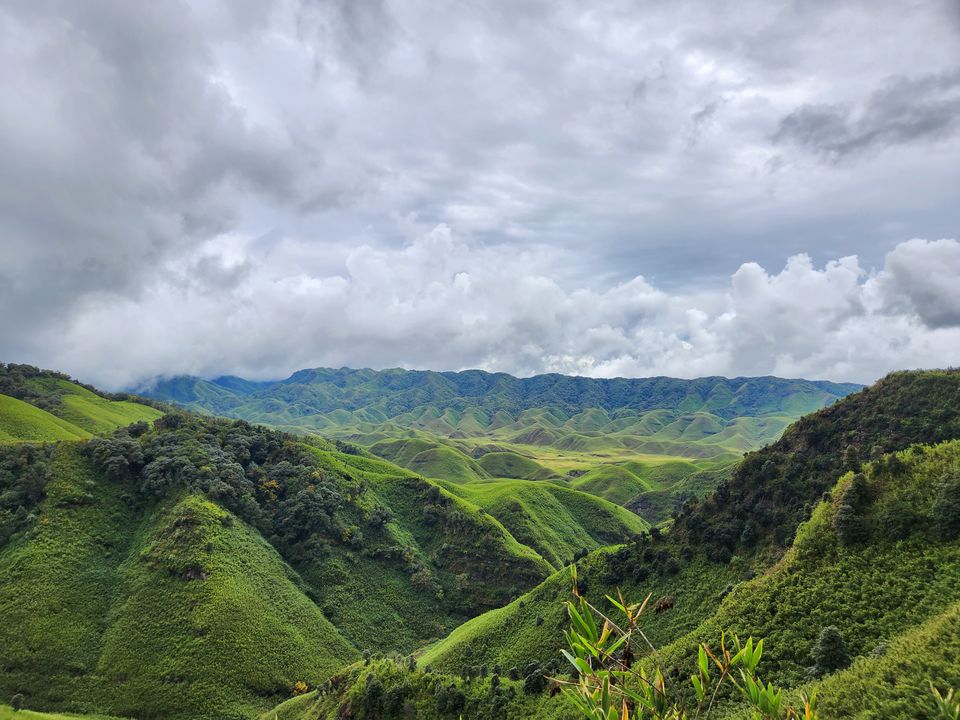 Photo of Dzukou Valley Trip - My first solo trip and the most memorable adventure of my life by Inu Etc