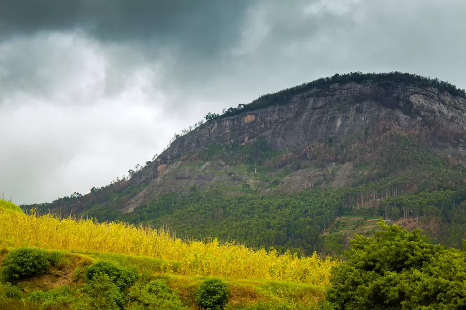 Photo of A Trip to the Colourful Village of Kerala - Koviloor, Munnar by GOUTHAMKUMAR JANAKIRAMAN