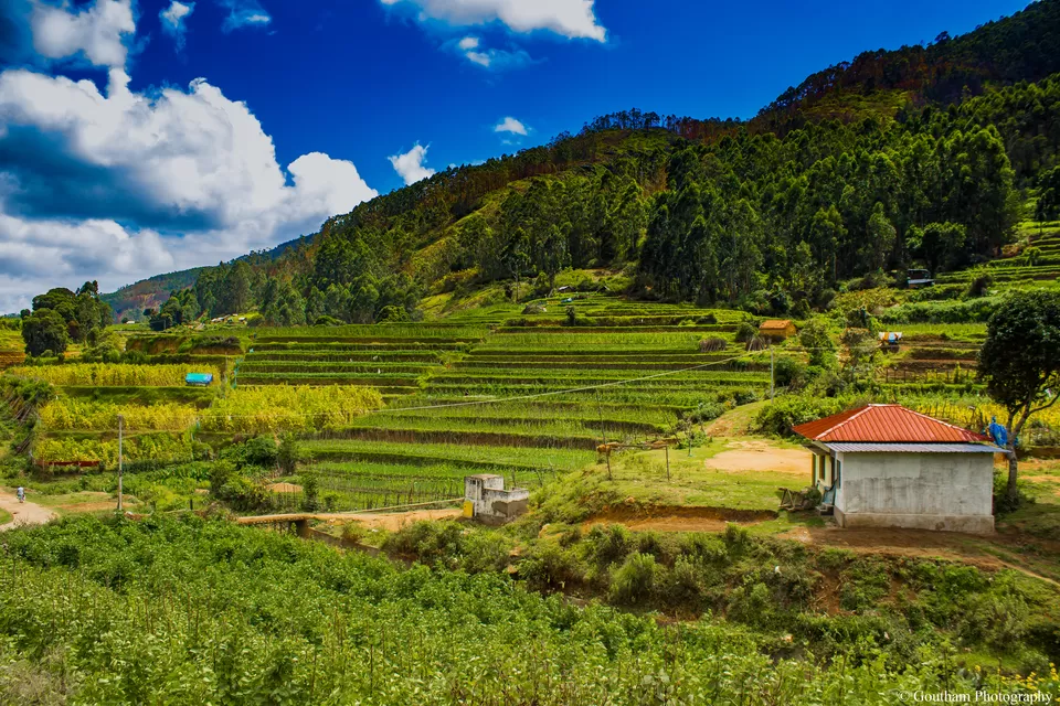 Photo of A Trip to the Colourful Village of Kerala - Koviloor, Munnar by GOUTHAMKUMAR JANAKIRAMAN