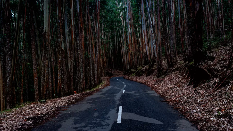 Photo of A Trip to the Colourful Village of Kerala - Koviloor, Munnar by GOUTHAMKUMAR JANAKIRAMAN