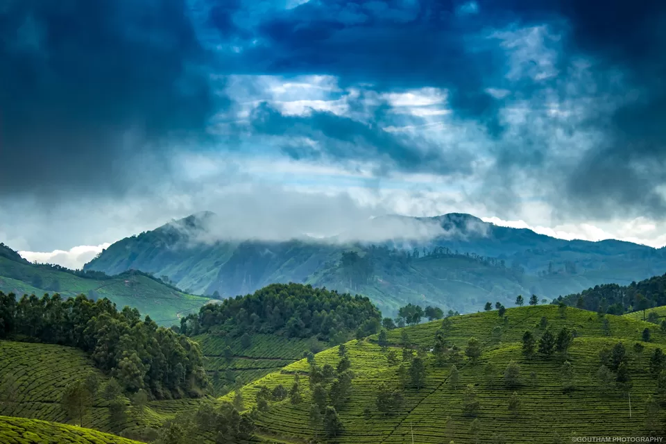 Photo of Munnar, Idukki by GOUTHAMKUMAR JANAKIRAMAN