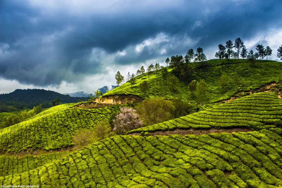 Photo of A Trip to the Colourful Village of Kerala - Koviloor, Munnar by GOUTHAMKUMAR JANAKIRAMAN