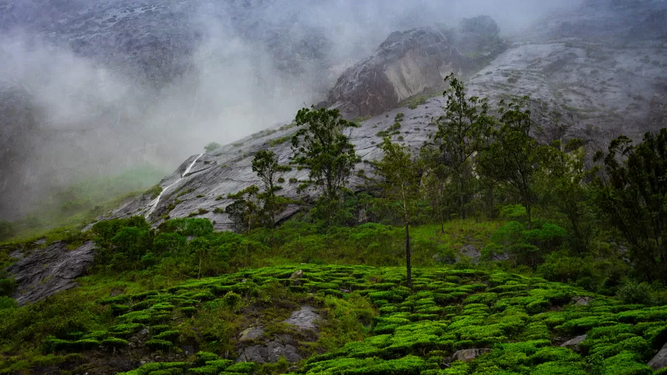 Photo of A Trip to the Colourful Village of Kerala - Koviloor, Munnar by GOUTHAMKUMAR JANAKIRAMAN