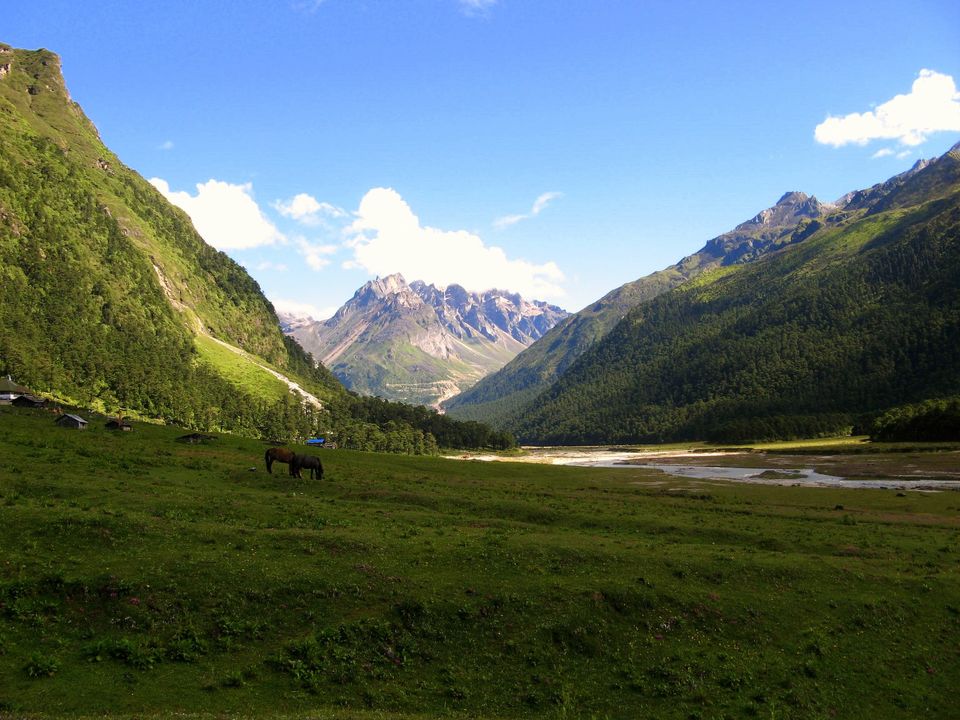 Photo of इन भारतीय जगहों पर ले सकते हैं बेहतरीन नजारों के साथ घुड़सवारी करने का मजा by Deeksha