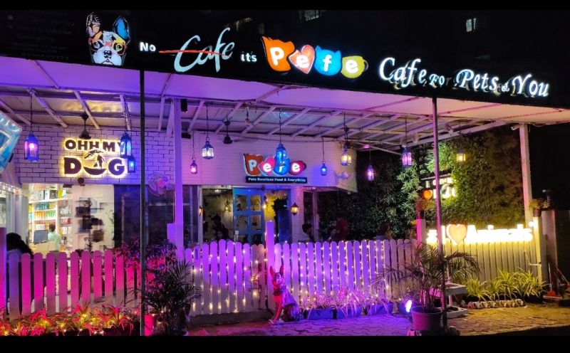 Photo of Top 5 pet-friendly cafes to take your pet this weekend! by Swetha Krishnan