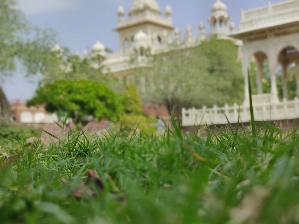 Photo of Blue city Jodhpur by Avinash Menkudle