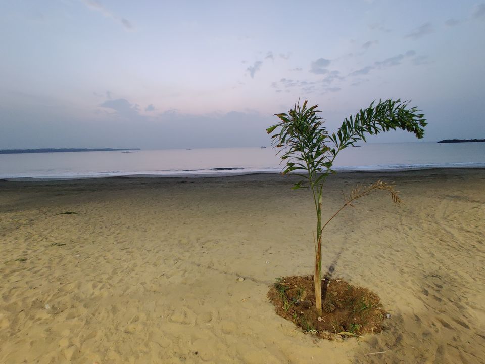 Photo of Saurashtra (Diu-Somnath-Gir-Girnar) by Avinash Menkudle