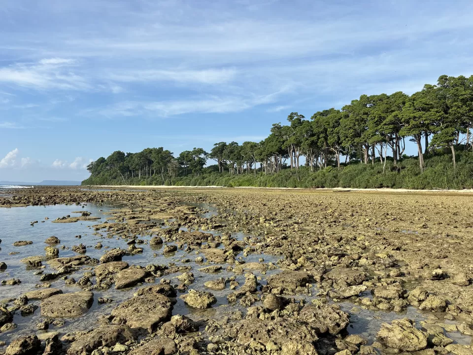 Photo of All About Andaman by Avinash Menkudle