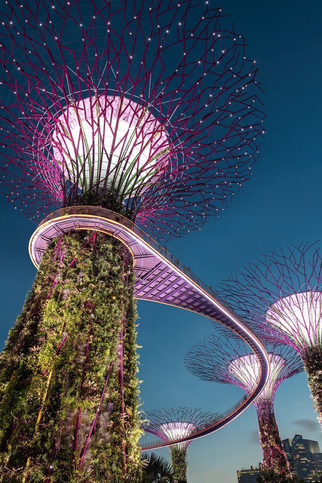 Photo of Things to Do in Singapore – Your Personalised Bucket List by Peaushan Devanarayana