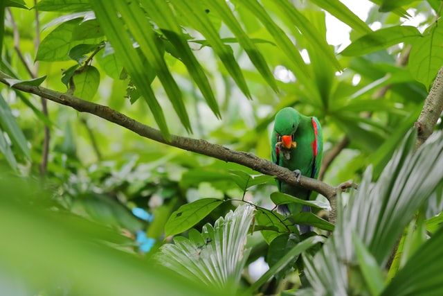 Photo of Things to Do in Singapore – Your Personalised Bucket List by Peaushan Devanarayana