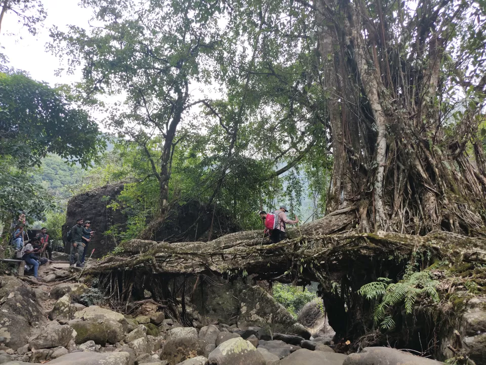 Photo of Personal & Poetic: My Solo December Sojourn Across Meghalaya by Anupama Thapliyal