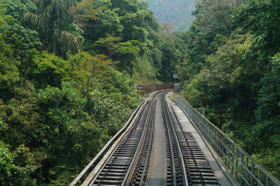Photo of A coorg trip that went according to plan! 2022 (well detailed) by udhankar