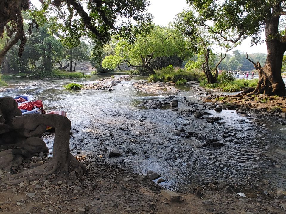 Photo of A coorg trip that went according to plan! 2022 (well detailed) by udhankar