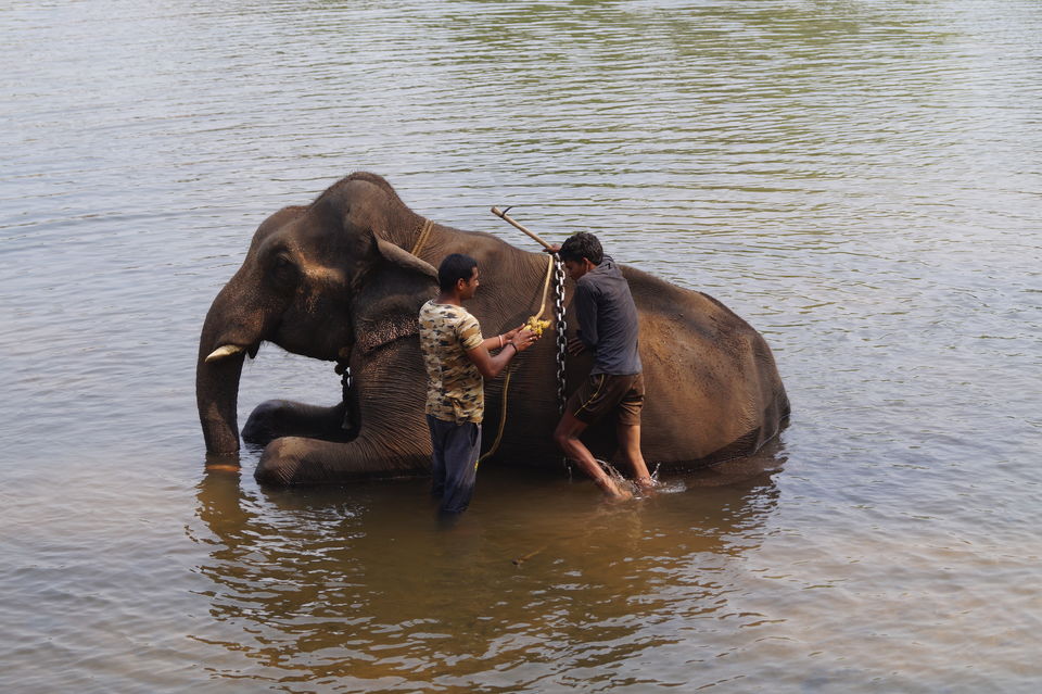 Photo of A coorg trip that went according to plan! 2022 (well detailed) by udhankar