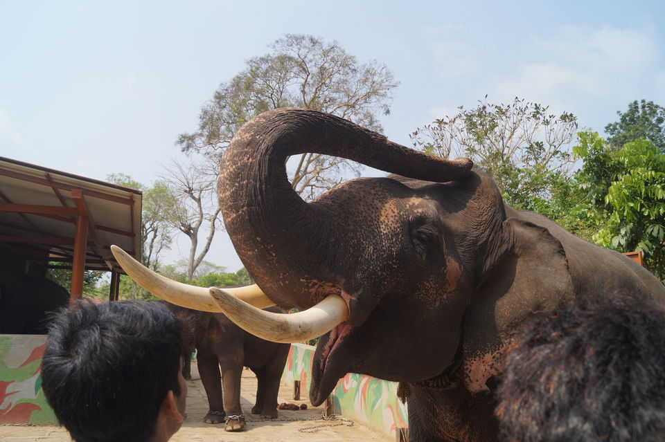 Photo of A coorg trip that went according to plan! 2022 (well detailed) by udhankar