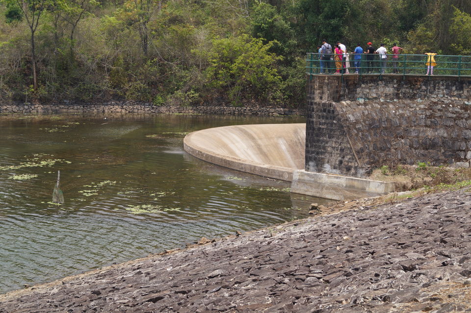 Photo of A coorg trip that went according to plan! 2022 (well detailed) by udhankar